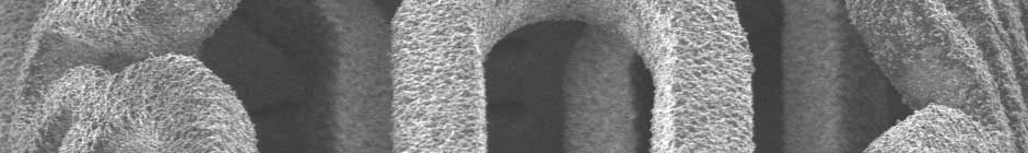 nano-micro stent coating