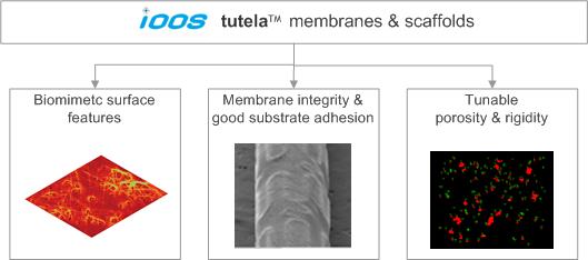 tutela membranes and scaffolds to fabricate covered medical devices (encased stents)